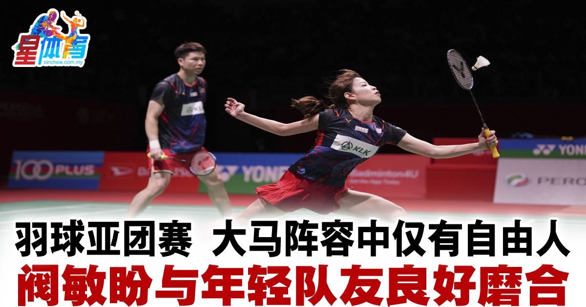 迷看到了球