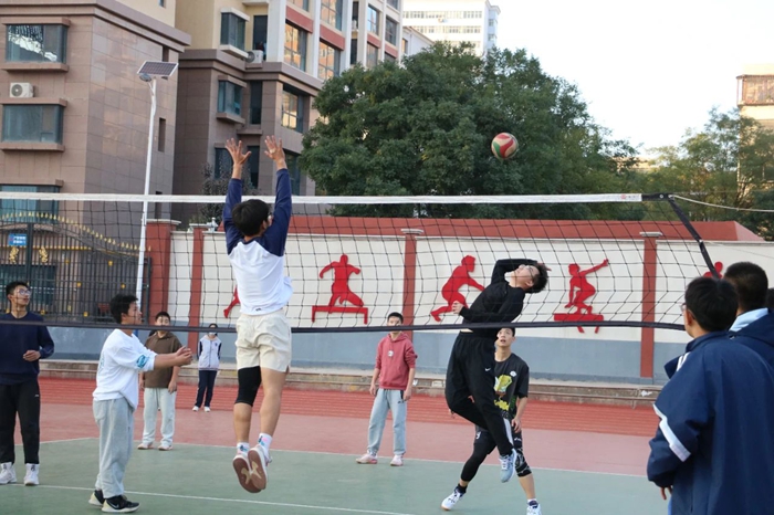 土壤对于新