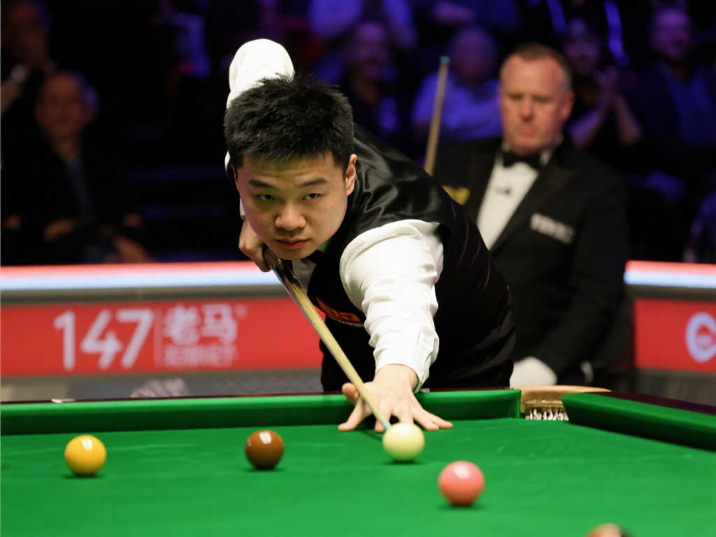 类似情况的 类似情况的